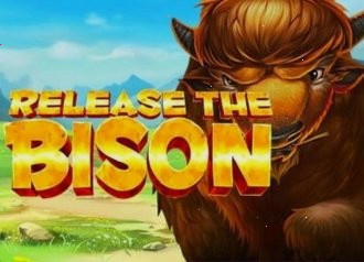 Release the Bison awards